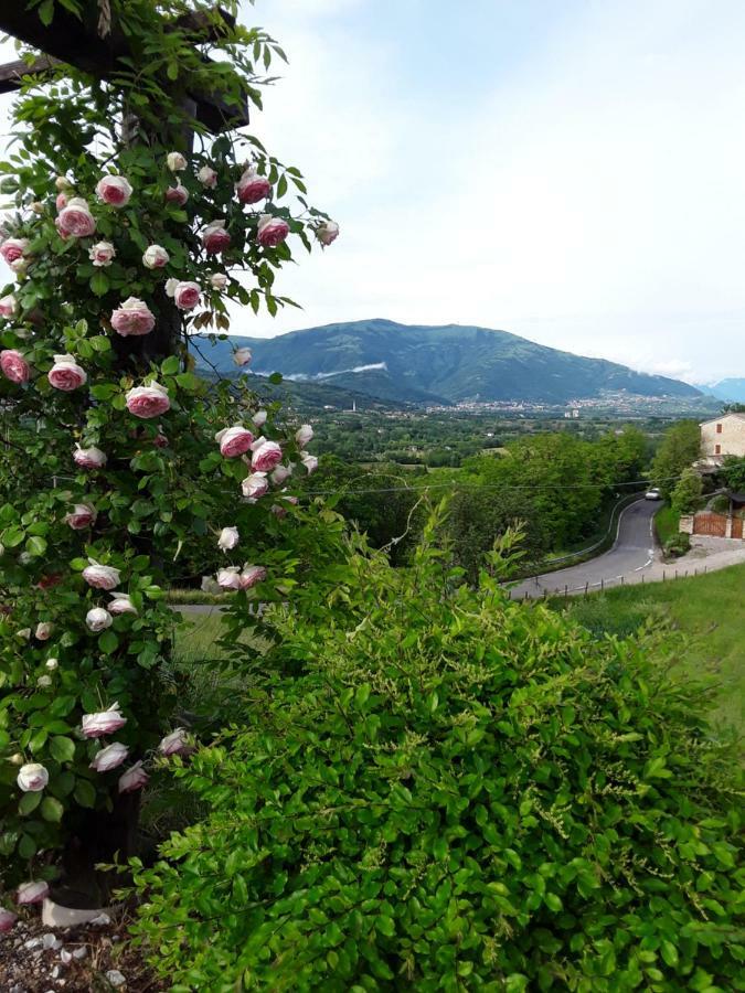 Locanda Bellavista Cavaso Del Tomba Kültér fotó